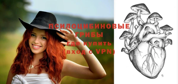 винт Дмитровск