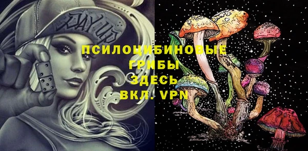 кристаллы Дмитриев
