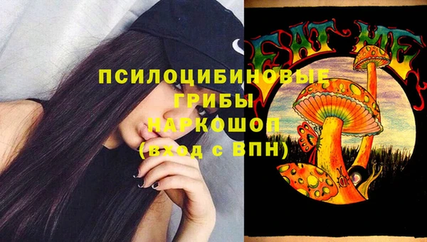 винт Дмитровск