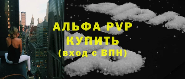 PSILOCYBIN Ельня