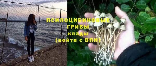 кристаллы Дмитриев