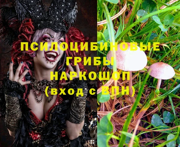 кристаллы Дмитриев