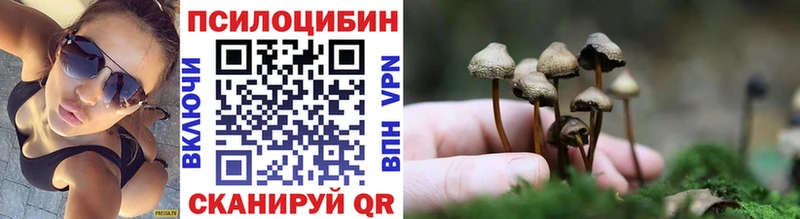 Псилоцибиновые грибы Psilocybe  где найти наркотики  блэк спрут как зайти  Жуковский 